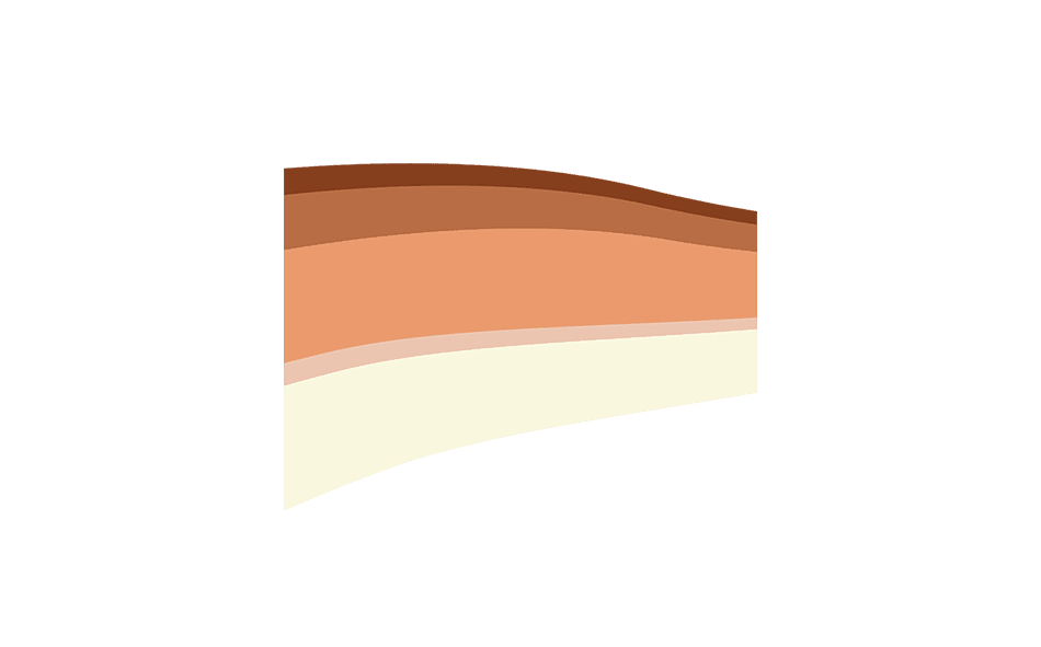 1 Aurelis Vignette