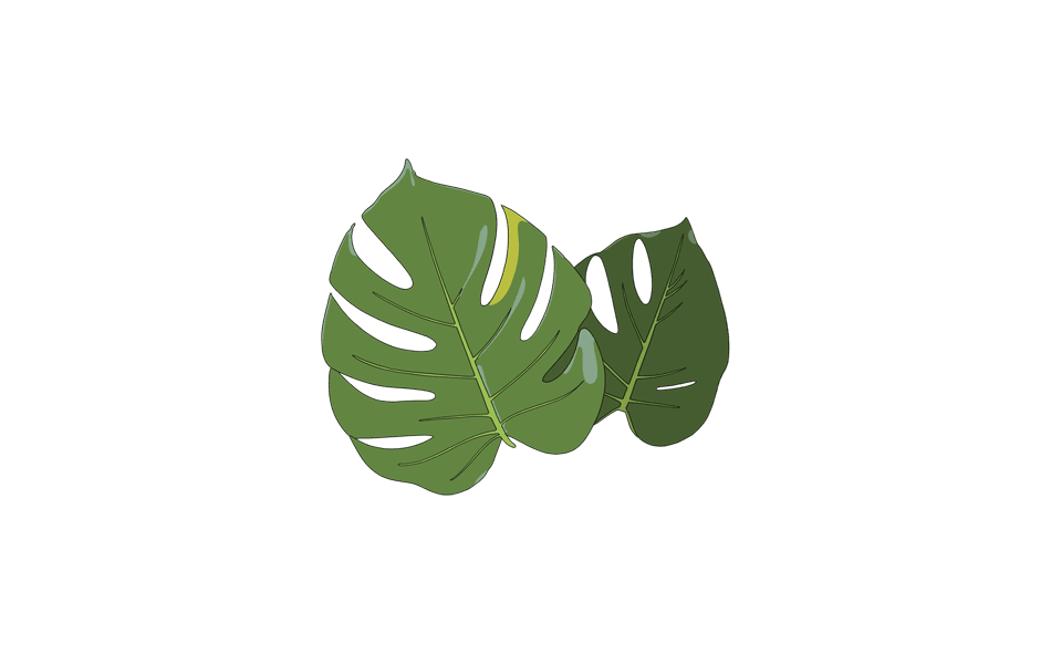 1 JUNGLE Vignette